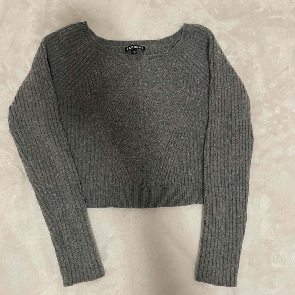Express Cropped Sweater